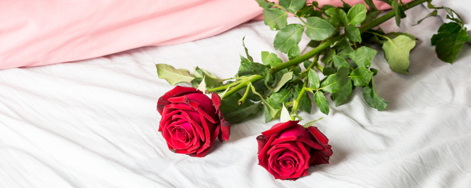 two long stem roses on bed