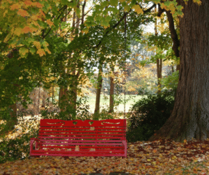 Swing at Tara - A Country Inn 