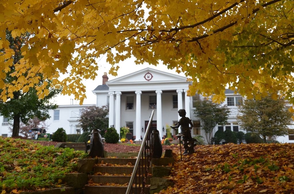 Enjoy a Fall afternoon at Springfield Falls / Don't Miss Cobblehaus Brewing at the Falls