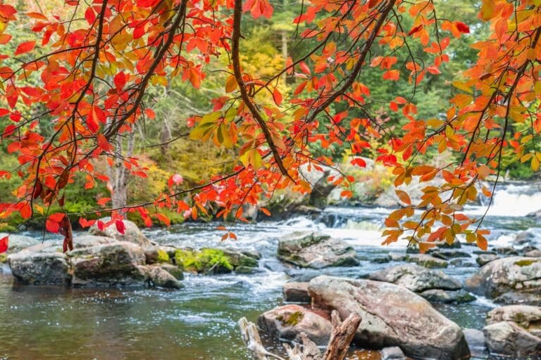 Enjoy a Fall afternoon at Springfield Falls / Don't Miss Cobblehaus Brewing at the Falls